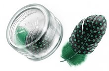 ruNail, Дизайн для ногтей: перья (темно-зеленый) FEAT006