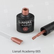 Lianail, Гель-лак Academy - Глиняный коричневый №05 (10 мл.)