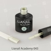 Lianail, Гель-лак Academy - Серый зеленый чай №43 (10 мл.)