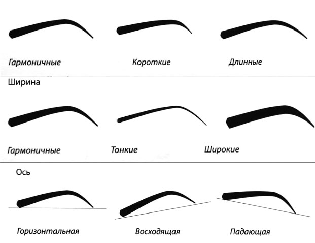 Правильная форма бровей: подбираем с учетом особенностей лица и глаз