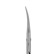 Staleks Pro, Ножницы профессиональные с крючком для кутикулы EXCLUSIVE 21 TYPE 2 (magnolia)