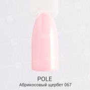 POLE, Цветной гель-лак №067 - абрикосовый щербет (8 мл.)