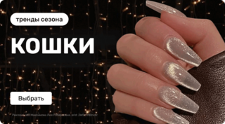 Новогодняя подборка: кошки