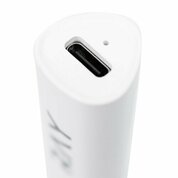 RAY, Ультрафиолетовый USB фонарик для полимеризации с подставкой R-LIGHT (3 Вт)