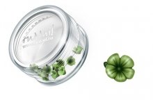 ruNail, Дизайн для ногтей: пластиковые цветы (вьюнок, темно-зеленый), 3DSB012