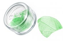 ruNail, Дизайн для ногтей: сухие листья (зеленый), DRWS007