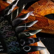 Monami, Гель-лак Кошачий глаз - Snake Eye №01 (8 г)