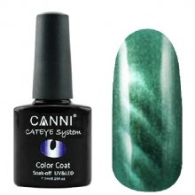 Canni, Cat Eye Color Coat - Магнитный гель-лак №293 (7.3 мл)