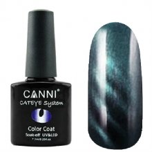 Canni, Cat Eye Color Coat - Магнитный гель-лак №294 (7.3 мл)