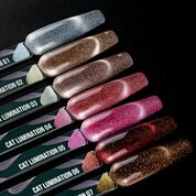 Serebro, Гель-лак Светоотражающий Кошачий глаз - Cat Lumination №05 (8 мл)