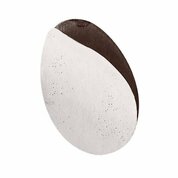 Staleks Pro, Сменные файлы для педикюрного диска PODODISC XS 240 грит (50 шт)