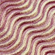 Bloom, Цветной гель для моделирования с перламутром - Unicorn №10 (15 мл)