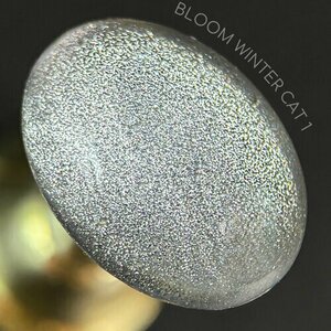 Bloom, Гель-лак Кошачий глаз - Winter cat №01 (8 мл)
