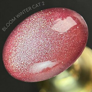 Bloom, Гель-лак Кошачий глаз - Winter cat №02 (8 мл)