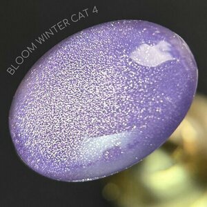 Bloom, Гель-лак Кошачий глаз - Winter cat №04 (8 мл)