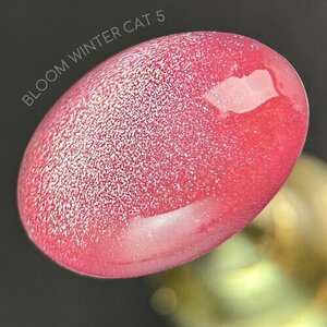 Bloom, Гель-лак Кошачий глаз - Winter cat №05 (8 мл)