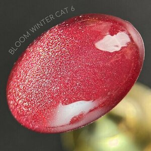 Bloom, Гель-лак Кошачий глаз - Winter cat №06 (8 мл)