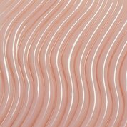 Ta2, Моделирующий гель №004 - Пудра (15g)