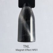 TNL, Закрепитель Magnet Effect №01 - Серебро (10 мл.)