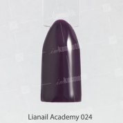 Lianail, Гель-лак Academy - Темный черновато-пурпурный №24 (10 мл.)