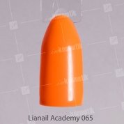 Lianail, Гель-лак Academy - Тыквенный №A65 (10 мл.)